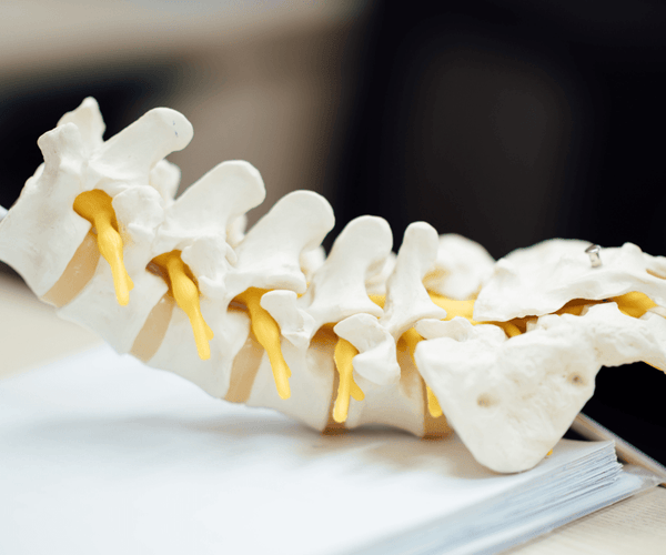 Does Inversion Table Really Help Back Pain? BIGSKU